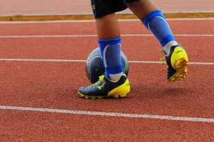 爱游戏体育娱乐-中国青少年篮球运动员体能素质发展规律,我国篮球青少年运动发展现状