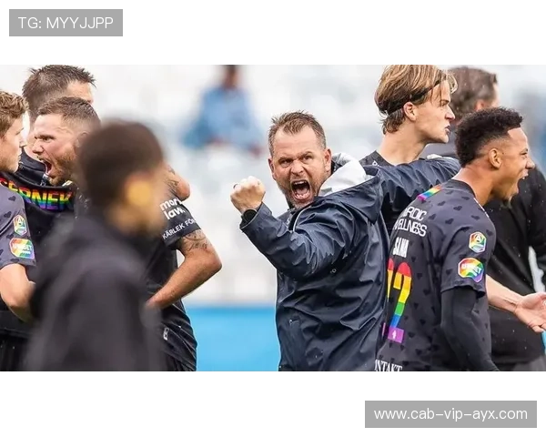 汉堡迎难而上：逆境中的反击策略剖析