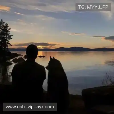 韦希戈